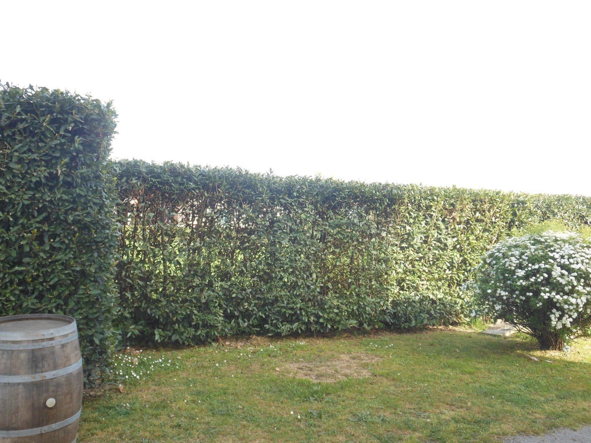 B&B La Corte Capannori Exteriör bild